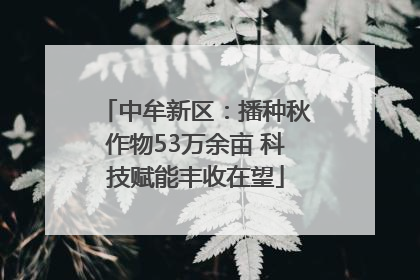 中牟新区：播种秋作物53万余亩 科技赋能丰收在望